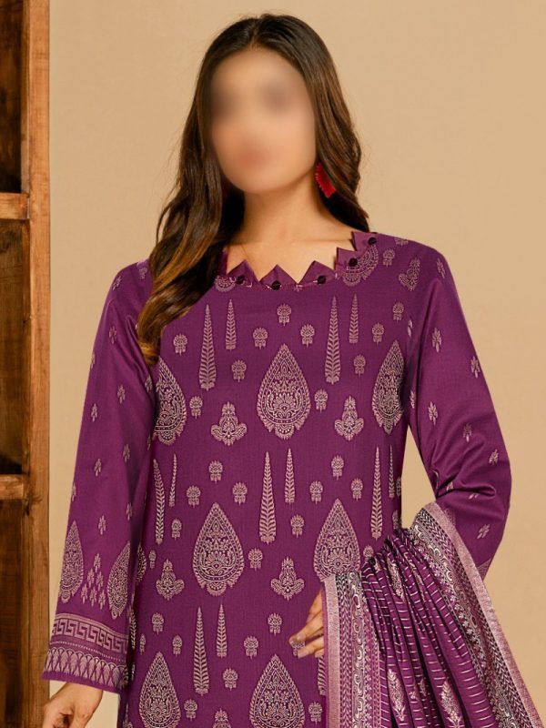 3PC SAYA Barosha Collection | Pret Collection | View | Bin Nisar Pakistani Clothing