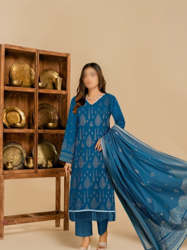 3PC SAYA Barosha Collection | Bin Nisar Pakistani Clothing