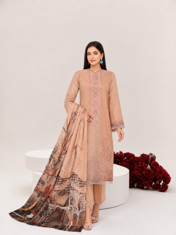 Party Wear Dress, Heavy Embroidered 3PC | Pret Collection | View | Bin Nisar Pakistani Clothing