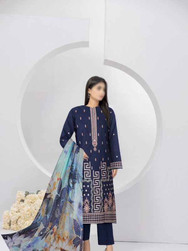 Party Wear Dress, Heavy Embroidered 3PC | Pret Collection | Bin Nisar Pakistani Clothing