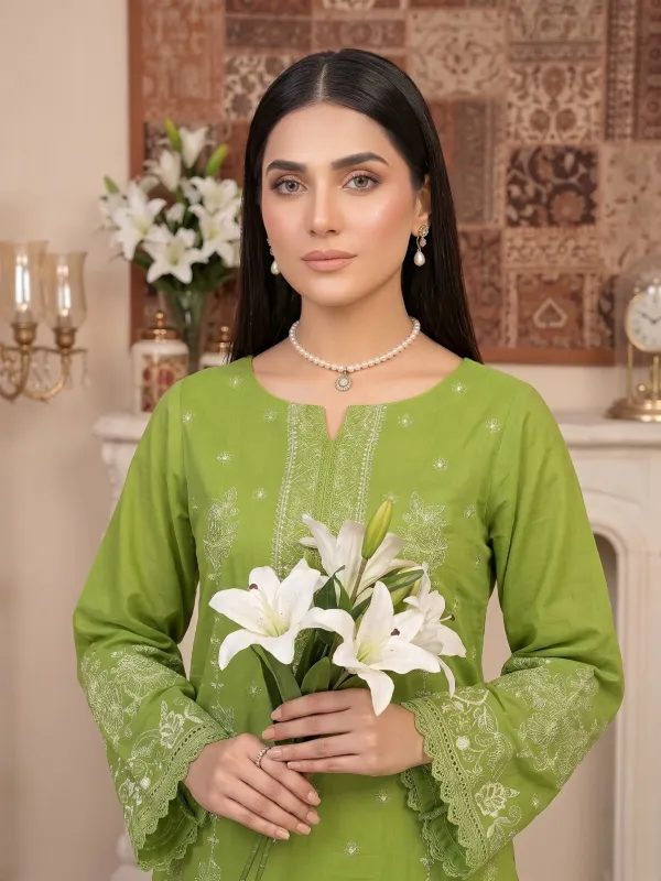 3PC Embroidery Lawn With Voil Emb Dupatta | Summer Collection | View | Bin Nisar Pakistani Clothing