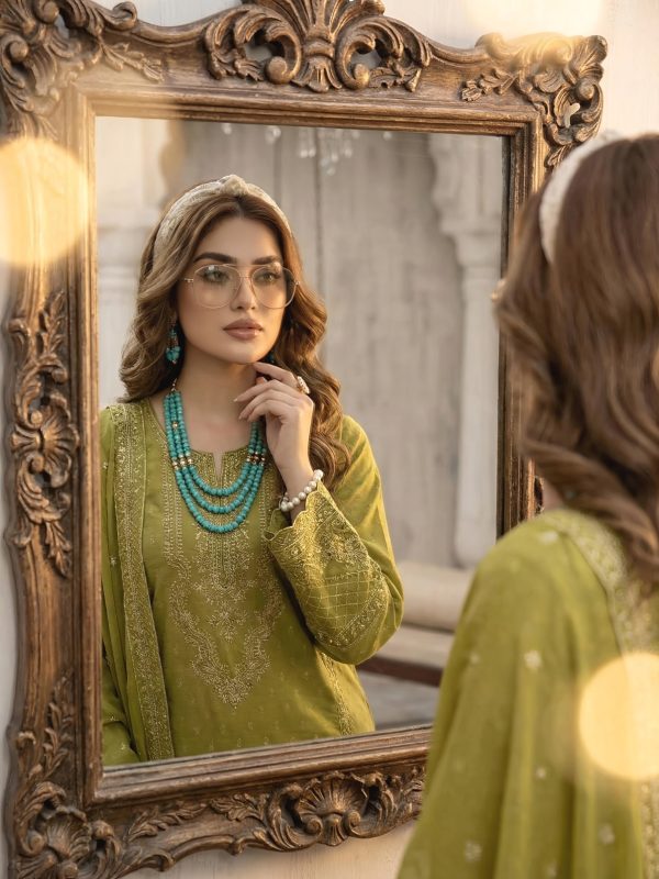 3pc Luxury Barosha Embroided Lawn | Summer Collection | View | Bin Nisar Pakistani Clothing