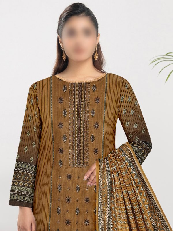 3PC Embroidery Cotton | Summer Collection | View | Bin Nisar Pakistani Clothing