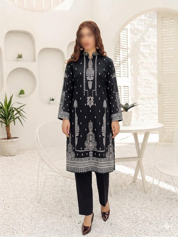 2PC Banarsi Lawn | Summer Collection | Bin Nisar Pakistani Clothing